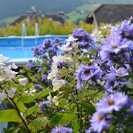 Appartchalet La Rondula Ортізеї Екстер'єр фото